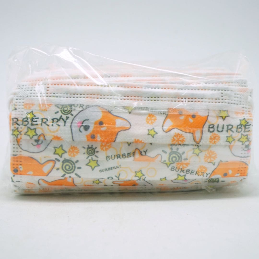 R077182C 令和雙鋼印醫用 柴犬款 50入