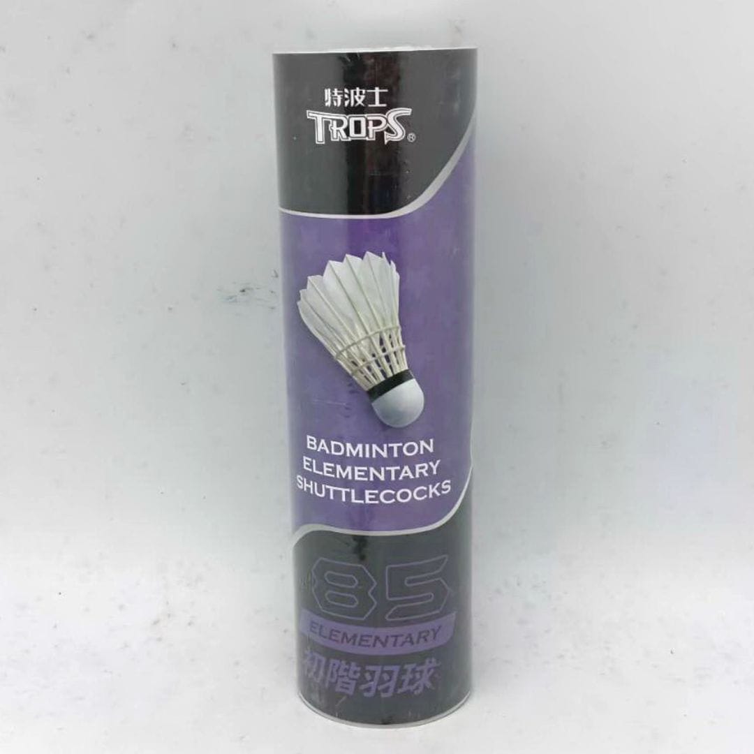 A2191 特波士85初階羽球 6入