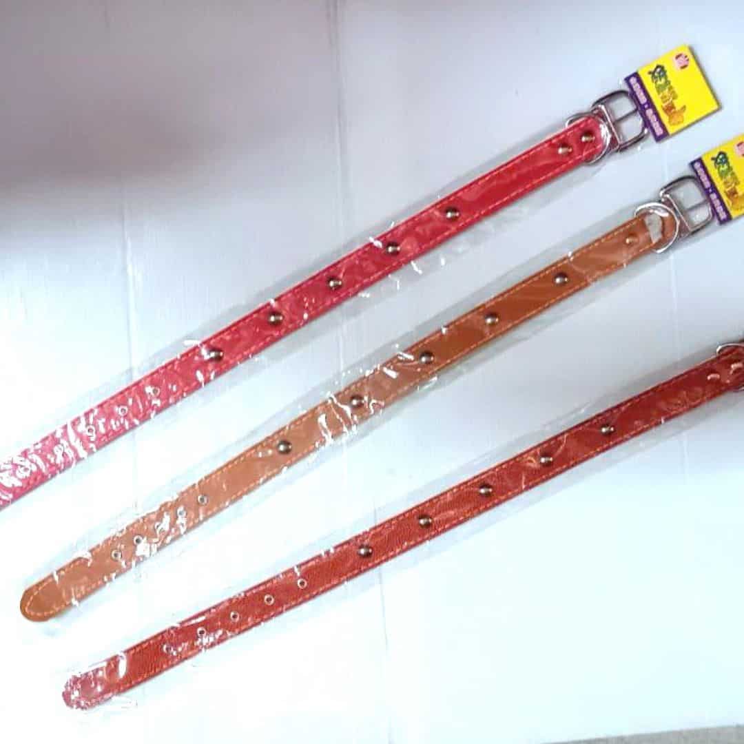 R1033 汶澄皮製雙層狗皮帶 特大款