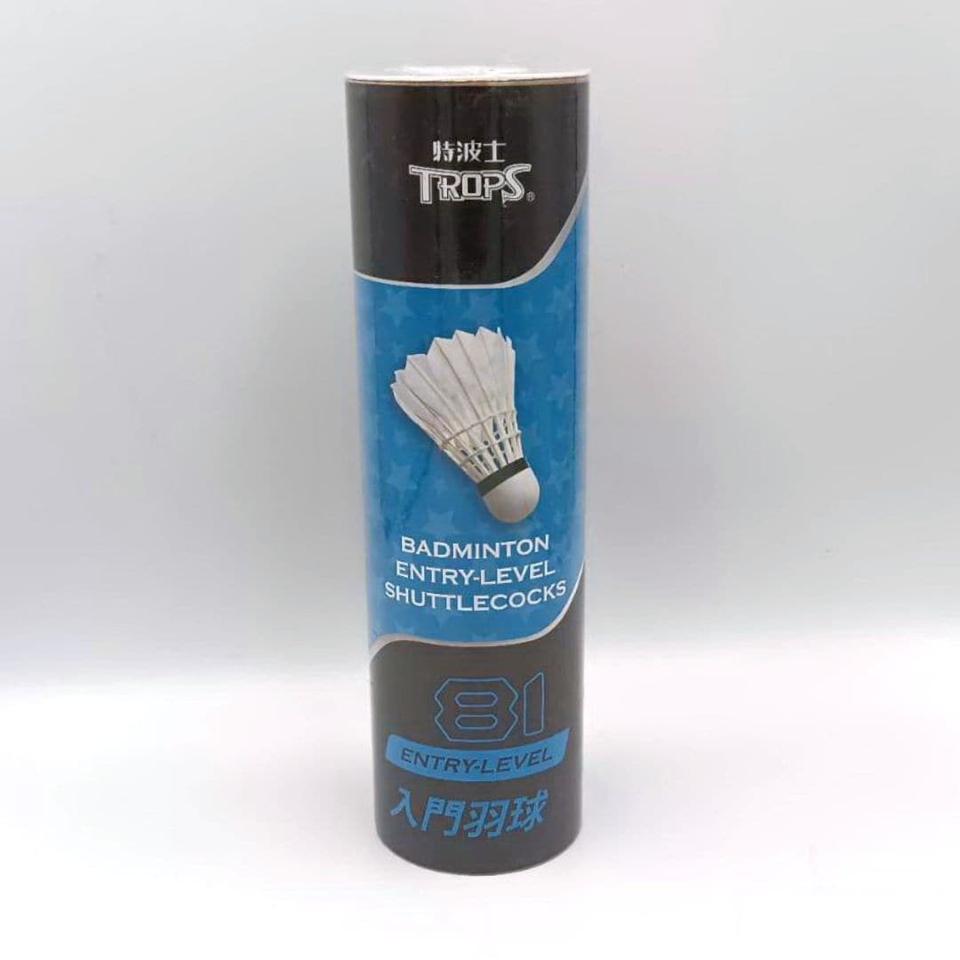 A2183 特波士81入門羽球 6入