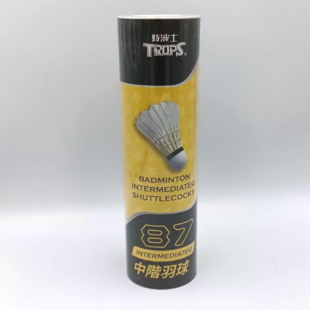 A2195 特波士87中階羽球 6入