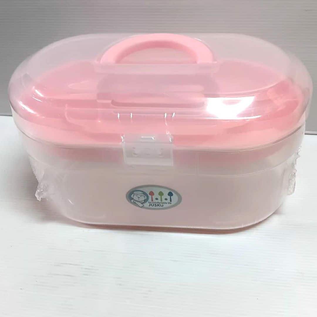 RR3161 佳斯捷大菠蘿收納箱 28.2x17.5x16cm